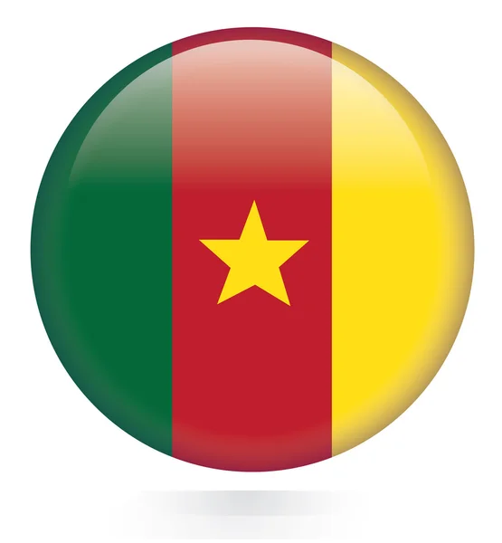 Cameroon flag button — Stock Vector