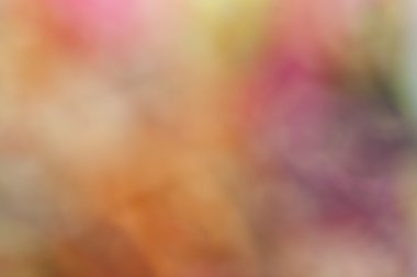 Renk Özeti Bulanık arkaplanlar