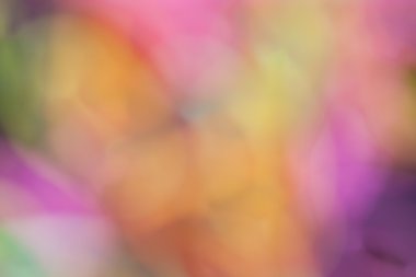 Renk Özeti Bulanık arkaplanlar