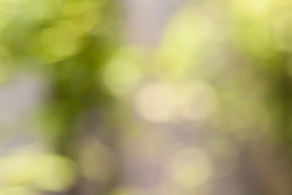 Abstrakte verschwommene Hintergründe — Stockfoto