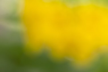 Soyut bokeh ve bulanık renkli doğa arka plan