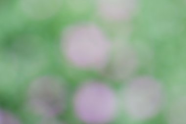 Soyut bokeh ve bulanık renkli doğa arka plan