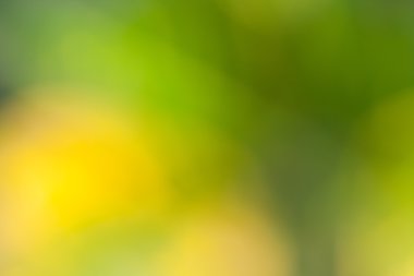 Soyut bokeh ve bulanık renkli doğa arka plan