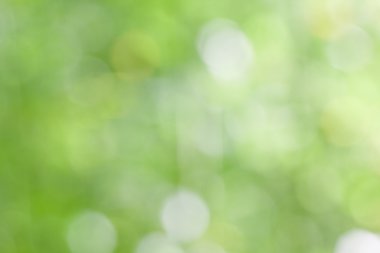 Soyut bokeh ve bulanık doğa arka plan