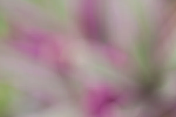 Abstracte bokeh en wazig kleurrijke natuur achtergrond — Stockfoto