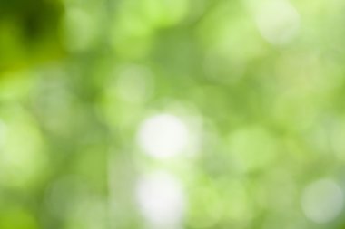 Soyut bokeh ve bulanık doğa arka plan