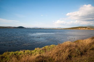Sahil ve Sardunya Körfezi manzarası