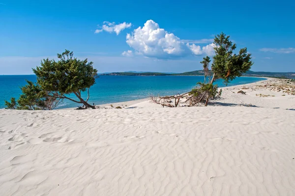 Blue sky, clear sea and sand dunes on the island of Sardinia