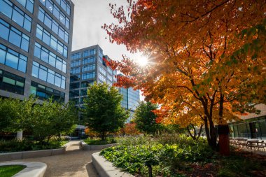 Şehir merkezinde şirket çalışanları için yüksek binalar var. Modern mimari, iş merkezinde cam evler. Şehrin sokaklarında yeşillik unsurları.