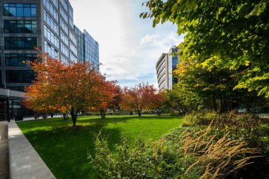 Şehir merkezindeki modern ofis bölgesi. Yaya geçidi olan yeni binalar ve iş merkezinde ağaçlar olan küçük bir park..