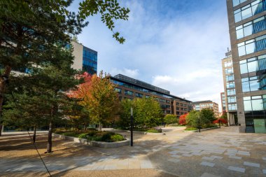 Şehir merkezindeki modern ofis bölgesi. Yaya geçidi olan yeni binalar ve iş merkezinde ağaçlar olan küçük bir park..