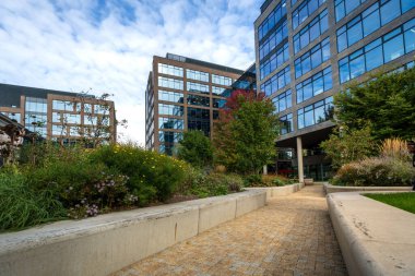 Şehir merkezindeki cam ofis binaları. Şirket karargahı olan bir iş bölgesi. Ağaçlı ve şehir yeşili yaya geçitleri olan modern mimari.