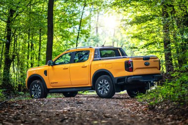 Brno, Çek Cumhuriyeti - 22 Eylül 2025: Sarı Ford Ranger Wildtrack PHEV off-road kamyonet doğada duruyor. Ağaçların arasında orman yolunda bir cesetle birlikte büyük bir off-road hibrit araba..