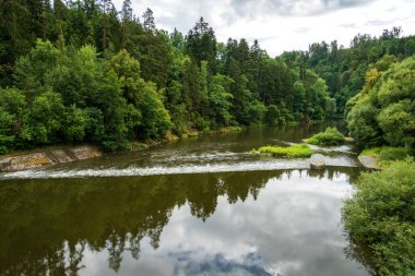 Bohemya 'nın güneyinde ve Avusturya' nın bir kısmında akan Luznice Nehri. Nehrin yeşil bir ormandan akan seviyesi..