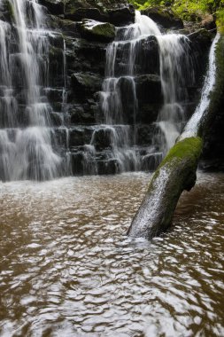 Derin bir vadide çağlayan şelale ve damlayan beyaz su. Bowland Ormanı, Ribble Vadisi, Lancashire