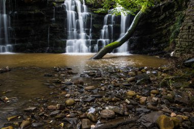Derin bir vadide çağlayan şelale ve damlayan beyaz su. Bowland Ormanı, Ribble Vadisi, Lancashire