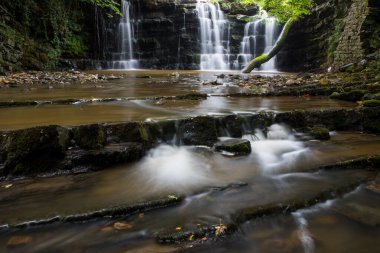 Derin bir vadide çağlayan şelale ve damlayan beyaz su. Bowland Ormanı, Ribble Vadisi, Lancashire