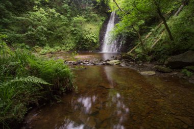 Büyük çağlayan şelale huzurlu bir havuza yuvarlanıyor. Düşen Foss Şelalesi, Yorkshire Dales 