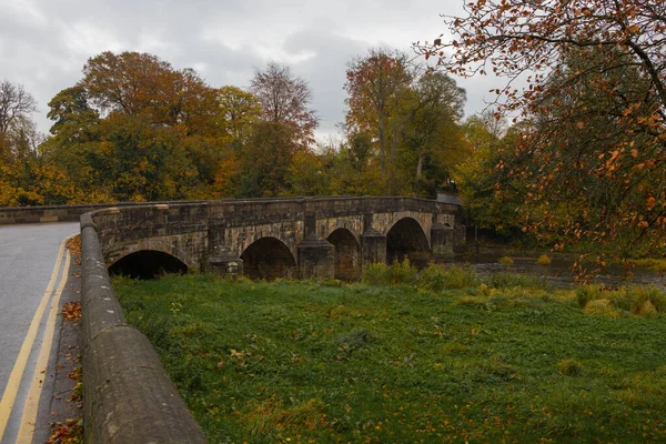 Warm Golden Colours Autumn Bank River Ribble Clitheroe Edisford Bridge — Stock Photo, Image