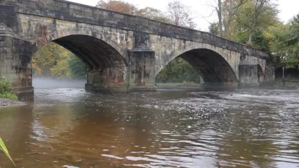 克里瑟罗附近跨过河岸的一座大石桥 秋水缓流的艾德福德桥 — 图库视频影像
