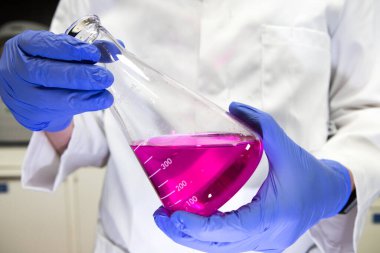 Laboratuvarda bir bilim adamı mor bir kimyasalın bulunduğu hacimli bir matarayı tutuyor. Titreşime göre analiz