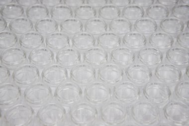 Empty glass vials in rows used for vaccine production and packaging