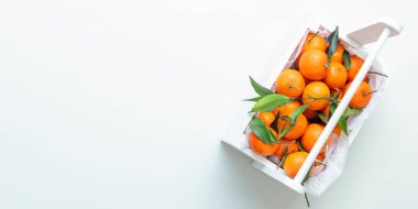 Beyaz arkaplanlı, yapraklı taze mandalina sepeti. Seçici odaklanma. Yukarıdan bak. Pankart.