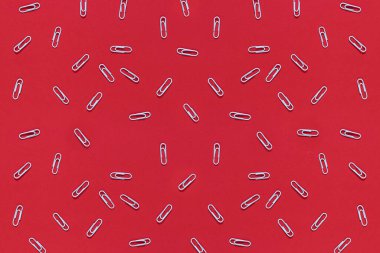 Beyaz ataçlar kırmızı arka plana saçılmış. Üst manzara, düz yatış. Okula dönmek, üniversite, eğitim konsepti. Soyut arkaplan