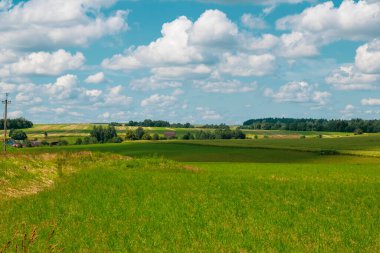 Beautiful landscape view on summer day. Private wooden houses between green forest trees. Nature in summer
