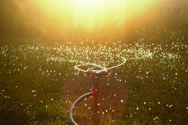 Modern garden irrigation device. Watering system - garden watering technique. Backlighting accentuates the flying drops. Selective focus. Watering the lawn.