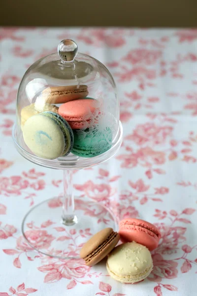 French macaroon - delicious dessert for tea — Stock Photo, Image