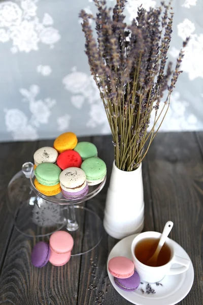 Tea time with macaroon — Stock Photo, Image