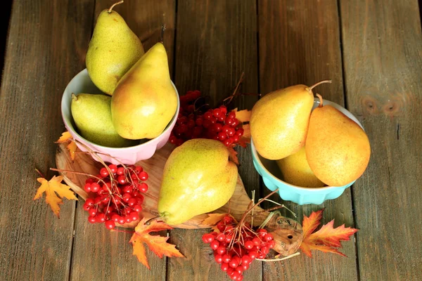 Pears & viburnum - still life — Stock Photo, Image