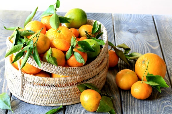 Basket of oranges and tangerines Royalty Free Stock Photos