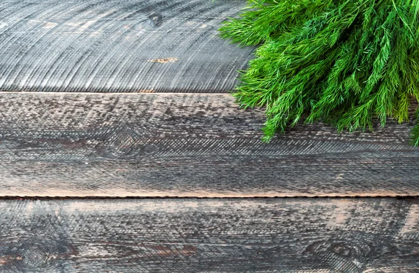 Färsk dill på trä rustik bakgrund med kopierings utrymme — Stockfoto