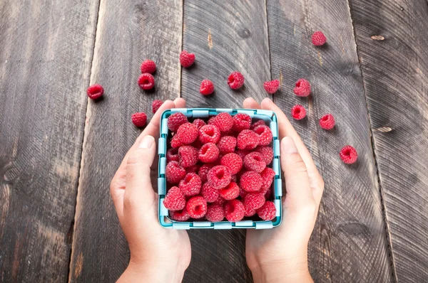 Frauenhände halten einen Korb mit frischen Himbeeren — Stockfoto