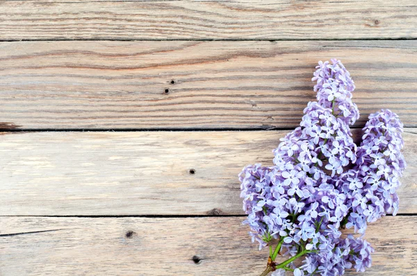 Flores de lilás em fundo de madeira com espaço de cópia. Cartão de flores — Fotografia de Stock