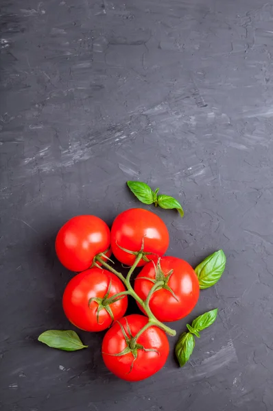 Fresh ripe tomatoes and basil on dark surface with copy space. Vegetables and herbs for cooking — Stock Photo, Image