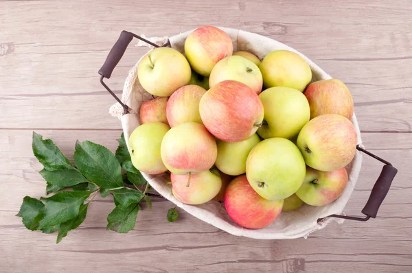 Fresh harvesting apples in basket on wooden table. Organic fruits. Healthy eating — Stock Photo, Image
