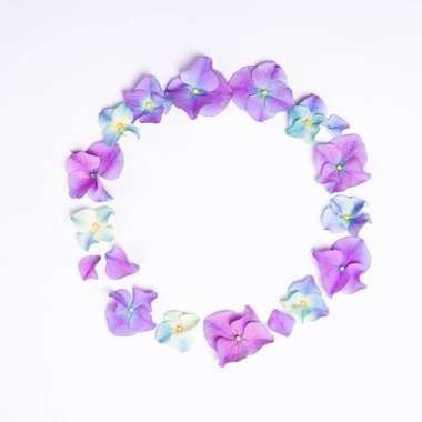 Çiçek kompozisyonu. Beyaz arka planda pembe çiçekli ortanca ve kar damlası çerçevesi. Yaratıcı çiçek çizimi. Pembe çiçek deseni. Üst görünüm, düz görünüm, kopyalama alanı