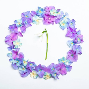 Bahar mevsimi konsepti. Çiçek kompozisyonu. Pembe çiçekli ortanca ve beyaz üzerine kar damlası çerçevesi. Bahar çiçekleriyle birlikte yaratıcı çiçek düzeni. Üst manzara, düz uzanma