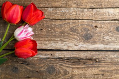 Eski ahşap arka planda lale çiçeklerinin şenlikli kompozisyonu. Bahar tatili konsepti. Bir demet lale çiçeği. Paskalya ve bahar tebrik kartı, üst manzara. Boşluğu kopyala