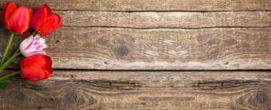 Eski ahşap arka planda lale çiçeklerinin şenlikli kompozisyonu. Bahar tatili konsepti. Paskalya ve bahar tebrik kartı, üst manzara. Kopyalama alanı olan sancak biçimi