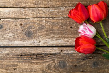 Eski ahşap arka planda lale çiçeklerinin şenlikli kompozisyonu. Bahar tatili konsepti. Bir demet lale çiçeği. Paskalya ve bahar tebrik kartı, üst manzara. Boşluğu kopyala