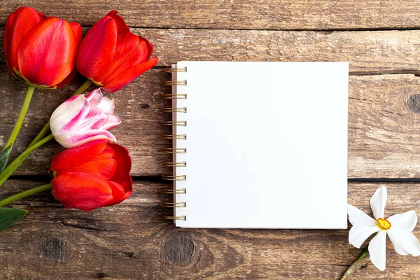 Bouquet of tulips and white blank of notebook on wooden rustic background. Spring holidays concept background. Tulip flowers and white blank note template on desk. Copy space