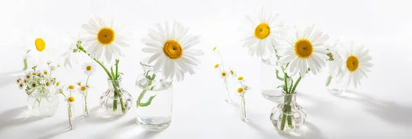 Vackra Kamomiller Blommor Glasvaser Vitt Bord Blommig Komposition Heminredning Våren — Stockfoto