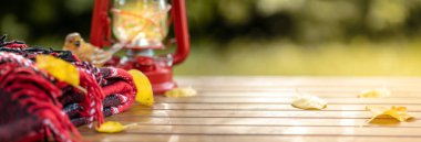 Sonbahar kompozisyonu. Sıcak kırmızı battaniye, fener, süslemeler, ahşap masada sonbahar yaprakları. Sonbahar sahnesi sonbahar bahçesinde güneşli bir günde. Arka planda kal. Boşluğu kopyala