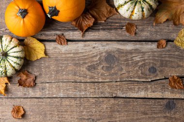 Sonbahar arkaplanı, balkabakları ve kırsal ahşap arka planda sonbahar yaprakları. Şükran Günü ya da Cadılar Bayramı kavramı. Fotokopi alanı olan düz sonbahar kompozisyonu. Üst görünüm
