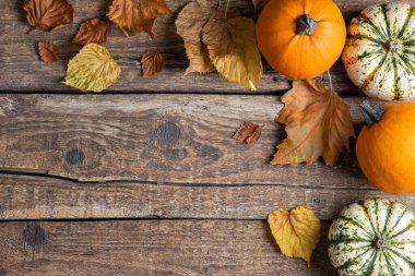 Sonbahar arkaplanı, balkabakları ve sonbahar yaprakları. Şükran Günü ya da Cadılar Bayramı kavramı. Fotokopi alanı olan düz sonbahar kompozisyonu. Üst görünüm