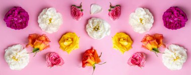 Çiçeklerin üzerinde renkli güller açan yaz çiçekleri şenlik pembe arka plan, güzel çiçek kartı. Gül çiçeğinden yapılmış çiçek deseni